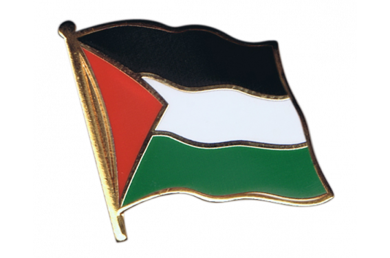 Toppa Con Bandiera Della Palestina 9x6 Cm, Da Stirare O Cucire, Bordi Orlati