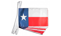 Cordata USA Texas - 30 x 45 cm