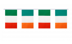 Cordata dell'amicizia Irlanda - Unione Europea EU - 15 x 22 cm