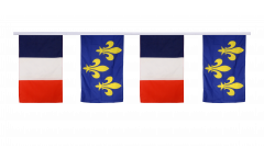 Cordata dell'amicizia Francia - Île de France - 30 x 45 cm