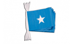 Cordata Somalia - 15 x 22 cm