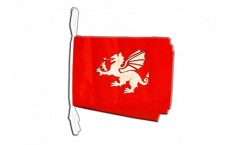 Cordata Inghilterra drago bianco - 30 x 45 cm
