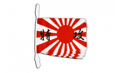 Cordata Giappone Kamikaze - 30 x 45 cm