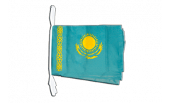 Cordata Kazakistan - 30 x 45 cm