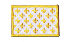Applicazione Francia stemma giglio, bianca - 8 x 6 cm