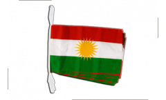 Cordata Kurdistan - 30 x 45 cm