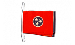 Cordata USA Tennessee - 30 x 45 cm