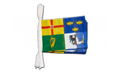 Cordata Irlanda 4 Province - 30 x 45 cm