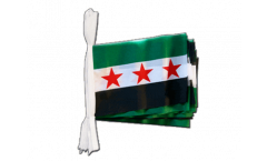 Cordata Siria 1932-1963 / Opposizione - Esercito Siriano Libero - 15 x 22 cm