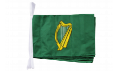 Cordata Irlanda Leinster - 30 x 45 cm