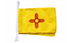 Cordata USA New Mexico - 30 x 45 cm