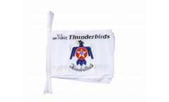 Cordata USA Thunderbirds US Air Force - 15 x 22 cm