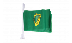 Cordata Irlanda Leinster - 15 x 22 cm