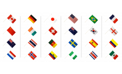 Campionato mondiale di calcio femminile 2015 set di bandiere da asta - 30 x 45 cm