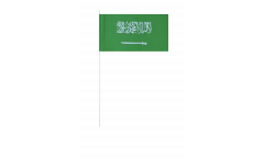 Bandiera di Carta Arabia Saudita - 12 x 24 cm