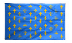 Bandiera da balcone Francia stemma giglio, blu - 90 x 150 cm