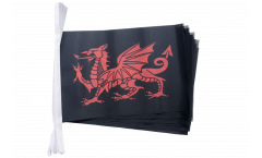 Cordata Drago gallese - 15 x 22 cm