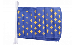 Cordata Francia stemma giglio, blu - 30 x 45 cm