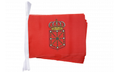 Cordata Spagna Navarra - 15 x 22 cm