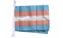 Cordata Transgender Pride - 30 x 45 cm