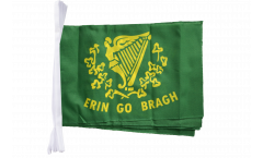 Cordata Irlanda Erin Go Bragh - 30 x 45 cm