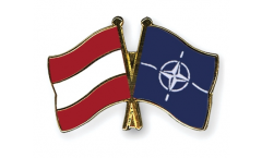 Spilla dell'amicizia Austria - NATO - 22 mm