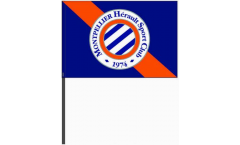 Bandiera da asta HSC Montpellier - 40 x 60 cm