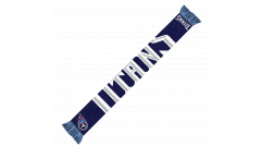 Sciarpa NFL Tennessee Titans Fan - 17 x 150 cm