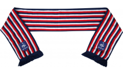 Sciarpa Francia FFF - 17 x 150 cm