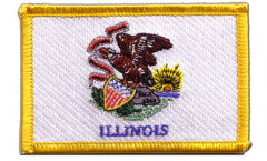 Applicazione USA Illinois - 8 x 6 cm