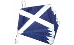 Cordata Scozia - 30 x 45 cm