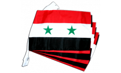 Cordata Siria - 30 x 45 cm