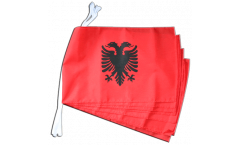 Cordata Albania - 30 x 45 cm