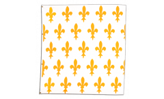 Bandiera Francia stemma giglio, bianca - 150 x 150 cm