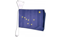 Cordata USA Alaska - 15 x 22 cm