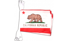 Cordata USA California - 15 x 22 cm