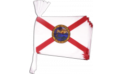 Cordata USA Florida - 15 x 22 cm