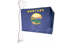 Cordata USA Montana - 15 x 22 cm