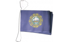 Cordata USA New Hampshire - 15 x 22 cm