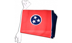 Cordata USA Tennessee - 15 x 22 cm