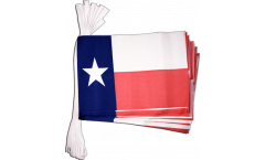 Cordata USA Texas - 15 x 22 cm