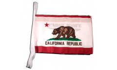 Cordata USA California - 30 x 45 cm