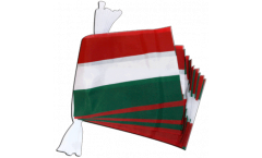 Cordata Ungheria - 15 x 22 cm