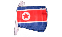 Cordata Corea del Nord - 30 x 45 cm
