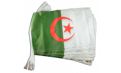 Cordata Algeria - 30 x 45 cm
