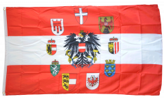 Bandiera Austria con 9 regione