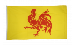Bandiera Belgio Vallonia