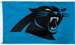 Bandiera Carolina Panthers