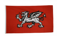 Bandiera Inghilterra drago bianco