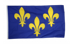 Bandiera Francia Ile de France stemma giglio